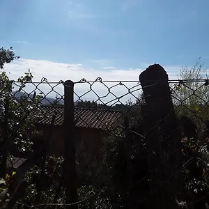 A Schiera Nei Pressi Del Mare Livorno
